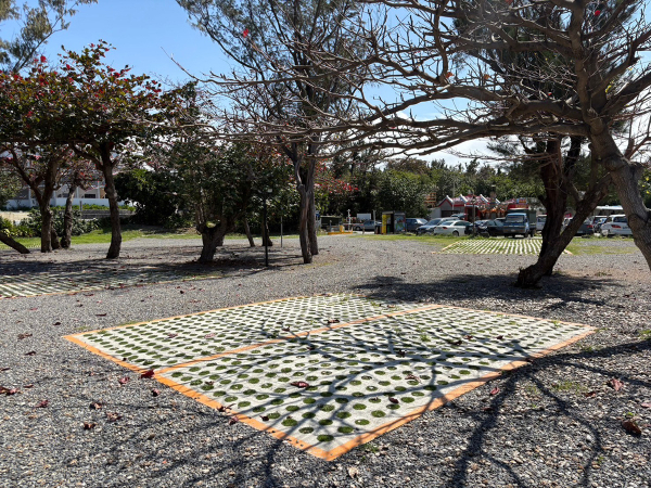 墾丁大灣路臨時停車場
