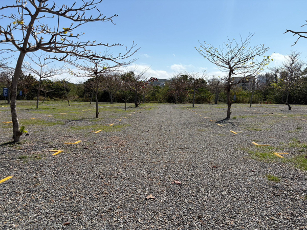 墾丁臨時停車場