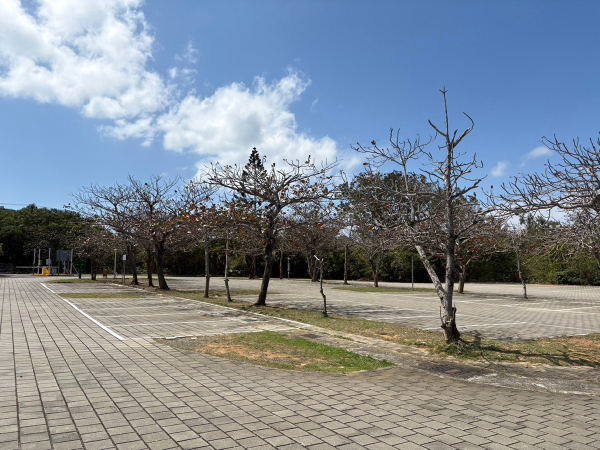 墾丁龍鑾潭停車場